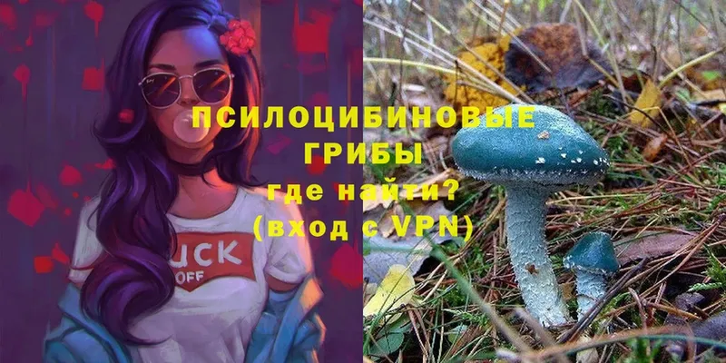 Псилоцибиновые грибы MAGIC MUSHROOMS  Берёзовский 